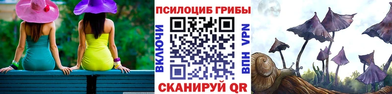 Псилоцибиновые грибы Cubensis mega ссылка Ковылкино купить сайты